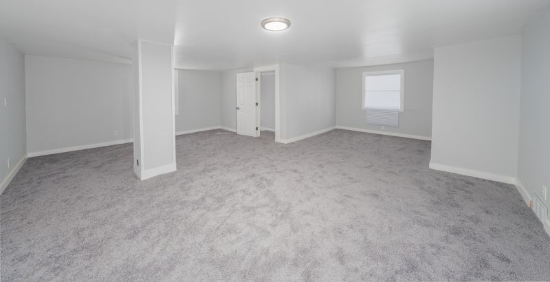 Basement Carpet Setup