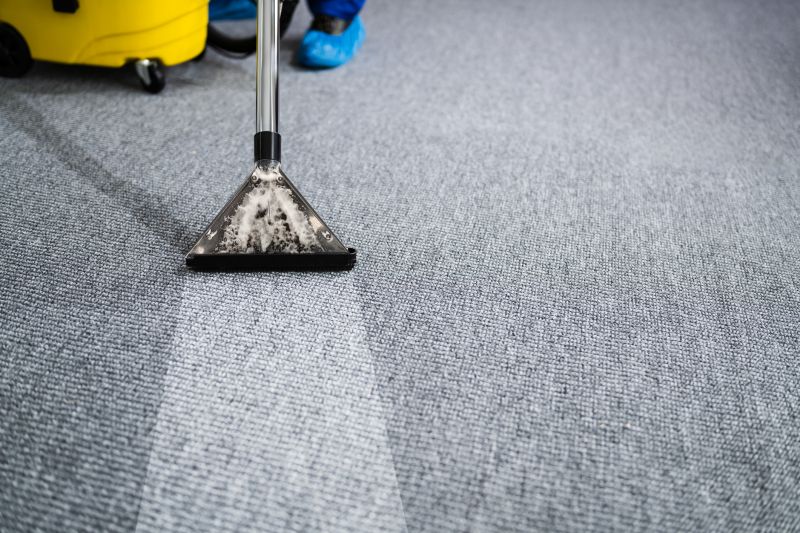 Clean Carpets in Action