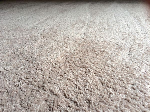 Plush Carpet Installation in Costa Mesa